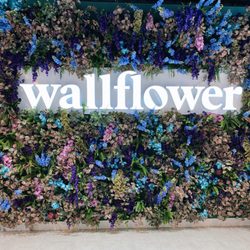 Wallflower Cannabis House - Dispensary Near Me Las Vegas - Wallflower Store