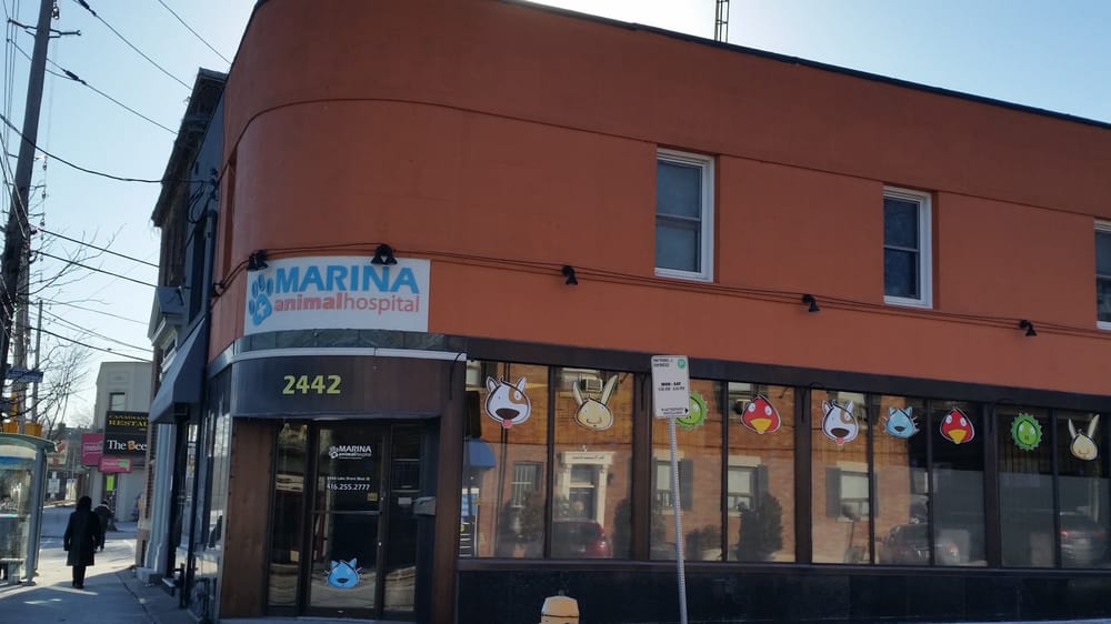 Marina Animal Hospital Image