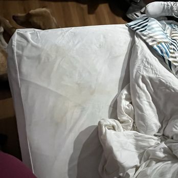 Motel 6 - Stained sheets - Hotels Near Me - Shreveport, Louisiana