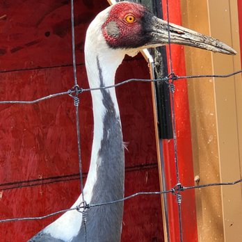Hemker Park & Zoo - Zoos Near Me - Freeport, Minnesota