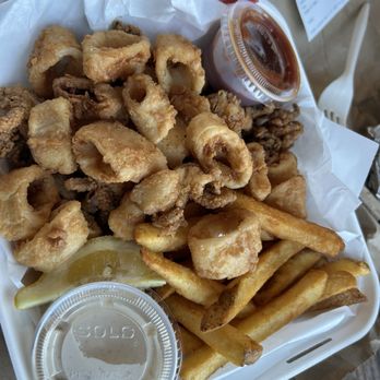Fisherman's Cove - Calamari plate came with fries. Very generous portion. - Seafood Near Me - Bodega Bay, California