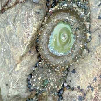 Rockaway Beach - Beaches Near Me - Pacifica, California Rockaway Beach - Beaches Near Me - Pacifica, California