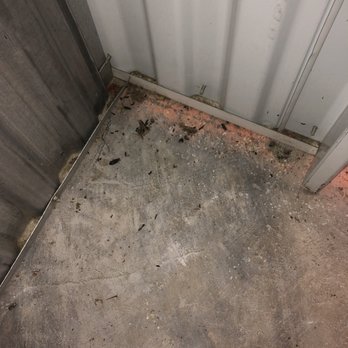 Extra Space Storage - Mouse droppings - Self Storage Near Me - Reston, Virginia