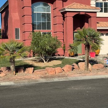 Arbor Tree Service - New tree - Tree Services Near Me - LAS VEGAS, Nevada Arbor Tree Service - New tree - Tree Services Near Me - LAS VEGAS, Nevada