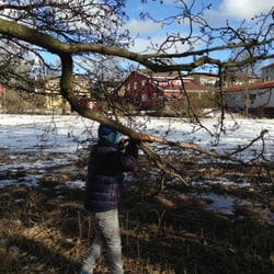 Månejordet