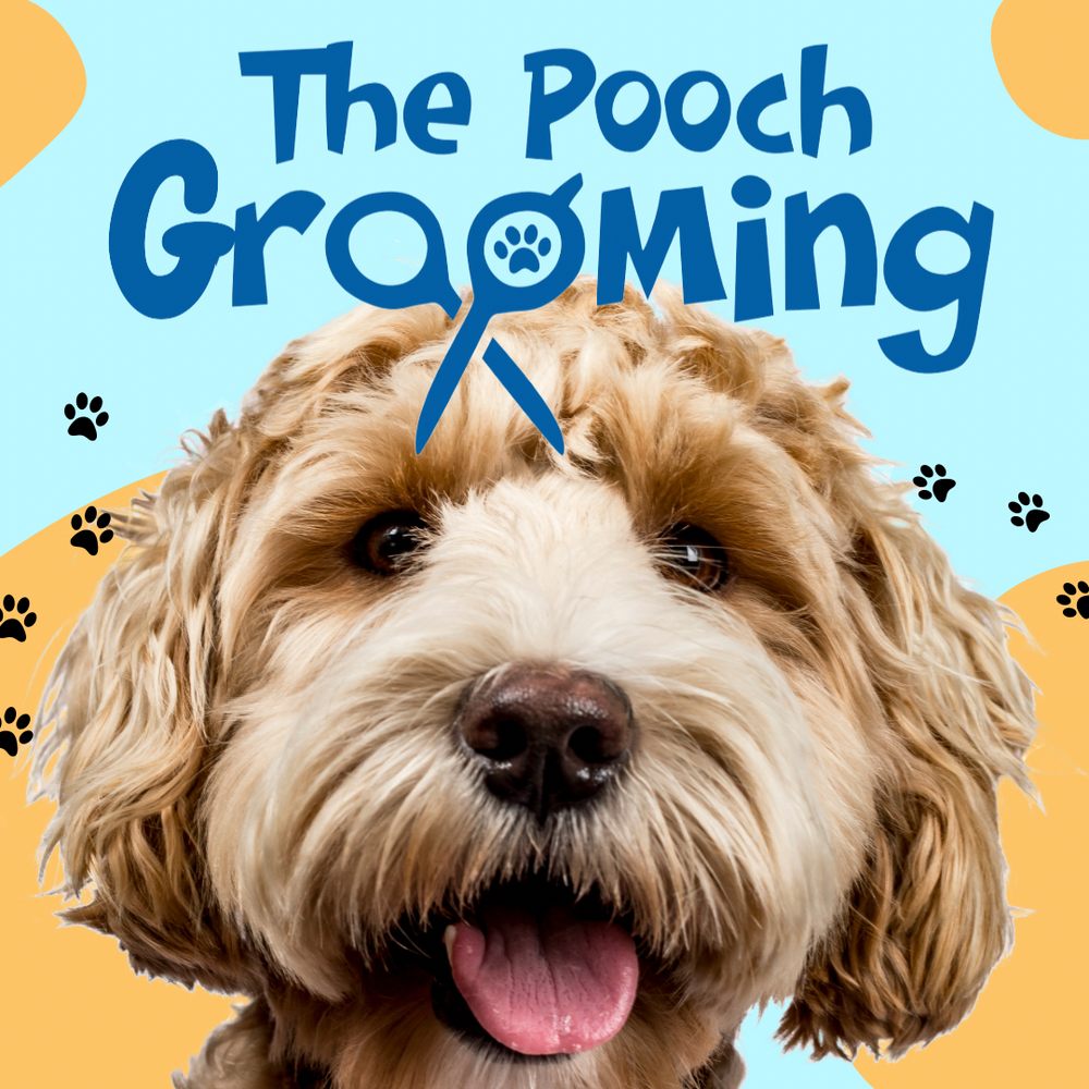 THE POOCH GROOMING 27 Photos New York, New York Pet Groomers