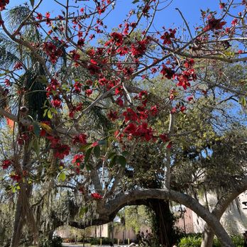 The Ringling - Art Museums Near Me - Sarasota, Florida The Ringling - Art Museums Near Me - Sarasota, Florida