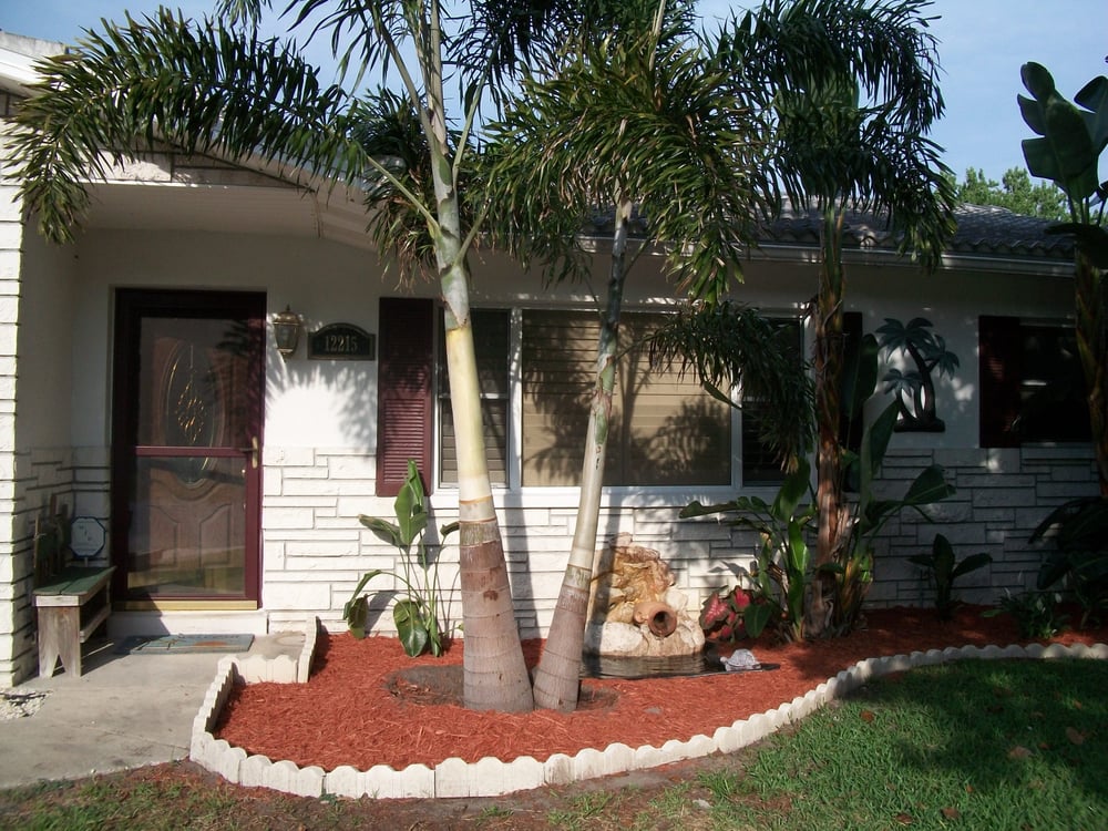 TY’S TREE SERVICE Updated August 2024 11723 Woodbridge Blvd