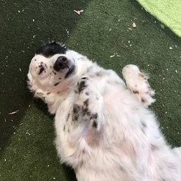 Susan enjoying her private playtime Susan enjoying her private playtime