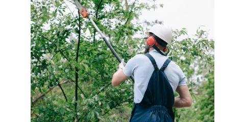 Evergreen Tree Care - tree service in Orlando, FL
