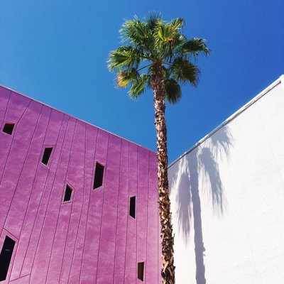 The Saguaro Palm Springs by null