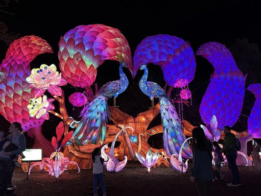 Four Mile Historic Park by null