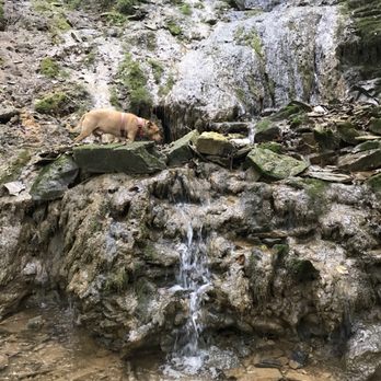 Buttermilk Falls - Emmett Falls - Hiking Near Me - Brandenburg, Kentucky Buttermilk Falls - Emmett Falls - Hiking Near Me - Brandenburg, Kentucky