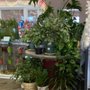 Photo of Bev's Flowers & Gifts
