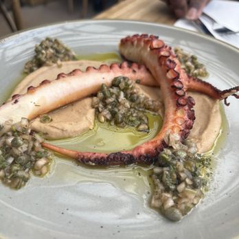 OSTE - Octopus - Italian Near Me - Los Angeles, California