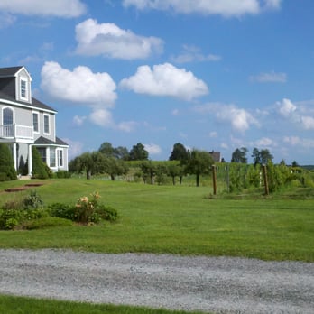 Sunset Meadow Vineyards - More vineyards and house - Wine Tasting Room Near Me - Goshen, Connecticut Sunset Meadow Vineyards - More vineyards and house - Wine Tasting Room Near Me - Goshen, Connecticut