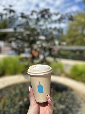 Blue Bottle Coffee by null