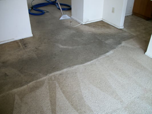 UPLAND STEAM COMPANY - Updated December 2024 - 24 Photos & 75 Reviews