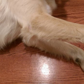 PetSmart - Uneven. Not trimmed all the way. - Pet Stores Near Me - San Jose, California PetSmart - Uneven. Not trimmed all the way. - Pet Stores Near Me - San Jose, California