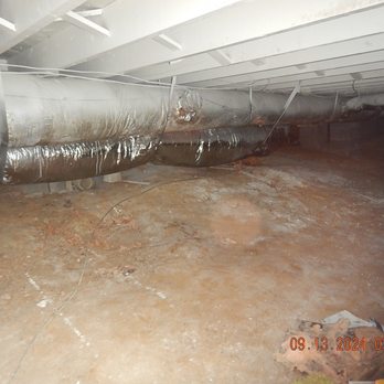Mold Drs. USA - Crawl space mold remediation - Damage Restoration Near Me - Knoxville, Tennessee