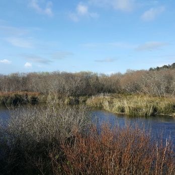 Floras Lake - Floras Creek - Lakes Near Me - Langlois, Oregon