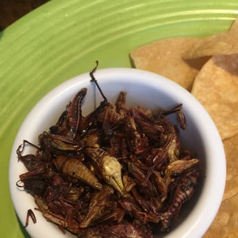 Mezcal - Chapulines (Grasshoppers) - Mexican Near Me - San Jose, California