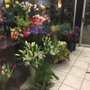 Photo of Wood's Floral & Gifts