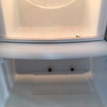 Village Realty Corolla Office - Dirty fridge needed cleaning before our use - Vacation Rentals Near Me - Corolla, North Carolina Village Realty Corolla Office - Dirty fridge needed cleaning before our use - Vacation Rentals Near Me - Corolla, North Carolina