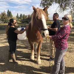 Center For Adaptive Riding
