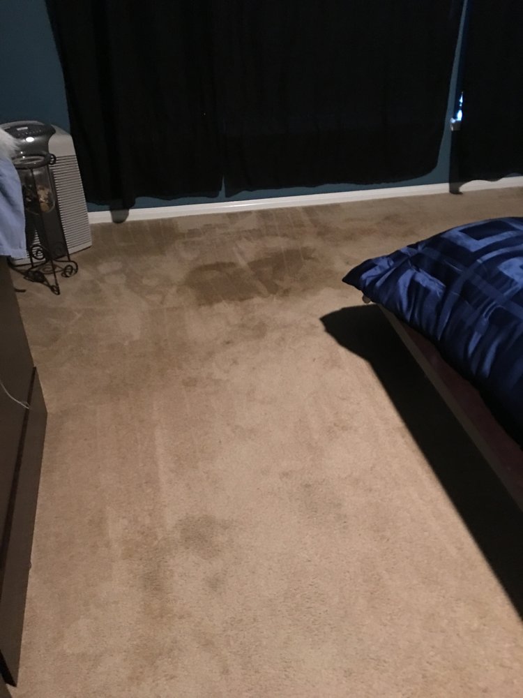 TEXAS BEST CARPET CARE Updated October 2024 Conroe, Texas Carpet