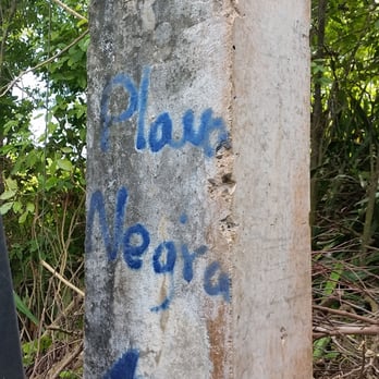 Black Sand Beach - Yup, You've reached the entrance to Playa Negra - Beaches Near Me - Isla de Vieques, Puerto Rico Black Sand Beach - Yup, You've reached the entrance to Playa Negra - Beaches Near Me - Isla de Vieques, Puerto Rico