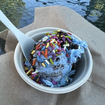 Bliss Small Batch Creamery - Cookie Monster with sprinkles - Ice Cream & Frozen Yogurt Near Me - DuPont, Washington