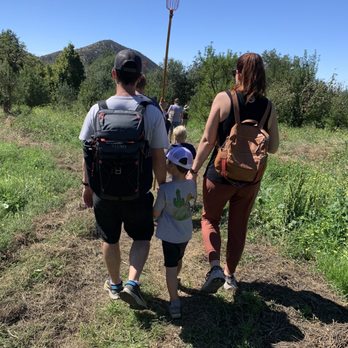 Stone Pantry Orchard - Walking south to the apple trees (Sep 2023) - Pick Your Own Farms Near Me - Yucaipa, California Stone Pantry Orchard - Walking south to the apple trees (Sep 2023) - Pick Your Own Farms Near Me - Yucaipa, California