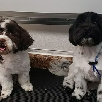 Furry Furends Mobile Grooming - Pet Groomers Near Me Furry Furends Mobile Grooming - Pet Groomers Near Me