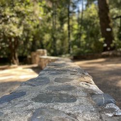 Whispering Pines Resort