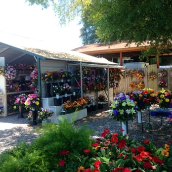 Bypass Farmer's Market - Flowers - Fruits & Veggies Near Me - Milton, Florida Bypass Farmer's Market - Flowers - Fruits & Veggies Near Me - Milton, Florida