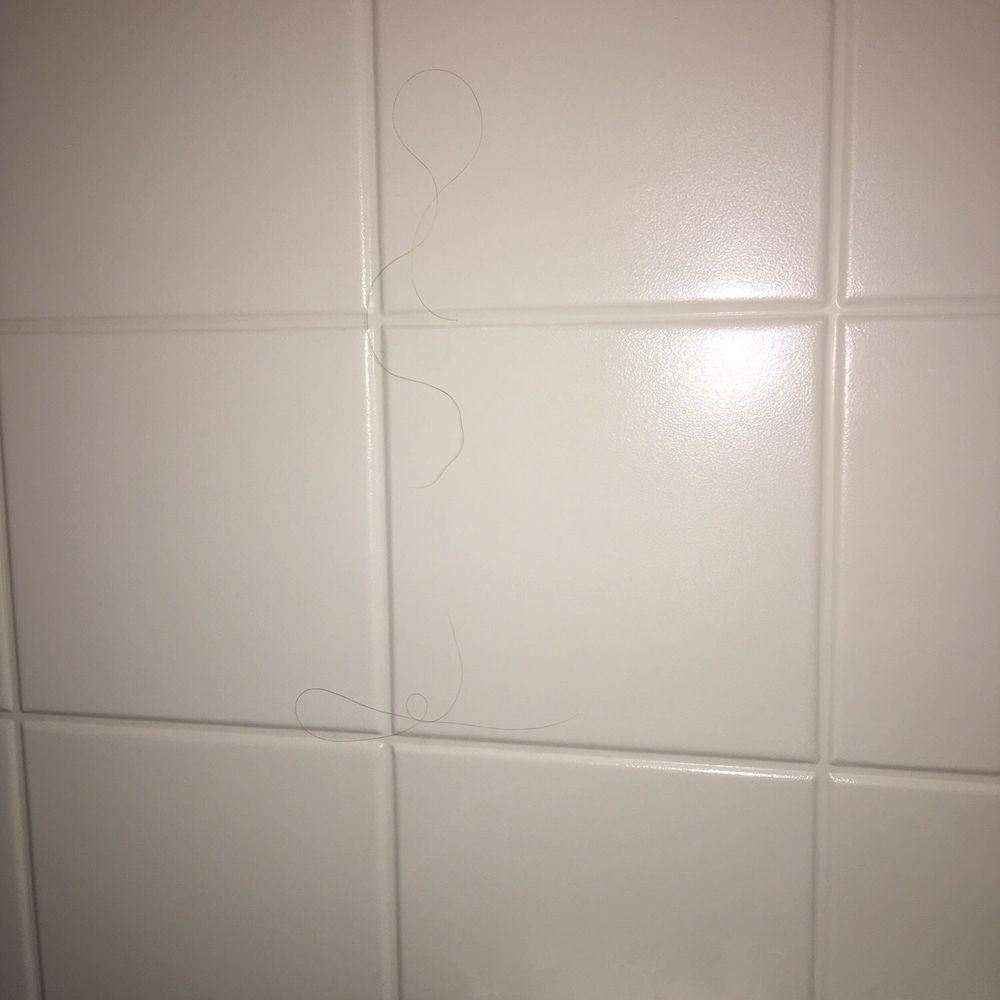 Oxford Suites Yakima - Found long hair in the shower. I have short hair. - Hotels Near Me - Yakima, Washington Oxford Suites Yakima - Found long hair in the shower. I have short hair. - Hotels Near Me - Yakima, Washington