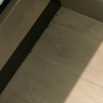 Tru by Hilton Lafayette River Ranch - Dead bugs In corner - Hotels Near Me - Lafayette, Louisiana Tru by Hilton Lafayette River Ranch - Dead bugs In corner - Hotels Near Me - Lafayette, Louisiana