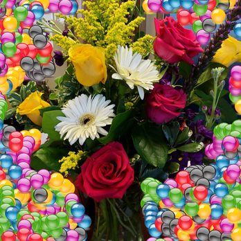 Backstage Florist & Gifts - Florists Near Me - Richardson, Texas Backstage Florist & Gifts - Florists Near Me - Richardson, Texas
