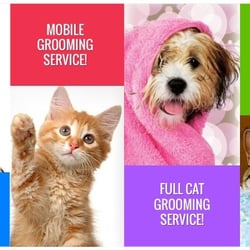 Pawsitive Pet Spa