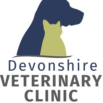 Devonshire Veterinary Clinic - Veterinarians Near Me - Anderson, Indiana