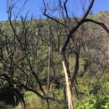 Escondido Canyon Park - Hiking Near Me - Malibu, California
