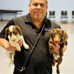 Pawsitive Dog Training by Juan Velarde