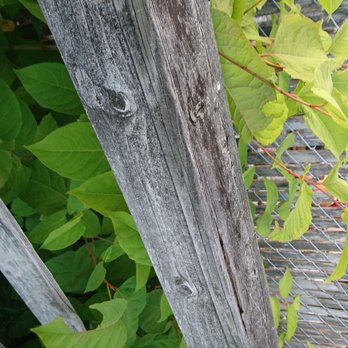 Edmonds Marsh Wildlife Sanctuary - Parks Near Me - Edmonds, Washington