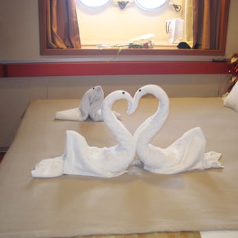 Carnival Elation - lonely walrus eyeing the lovebirds. (i saved the towel animals and posed them.) - Tours Near Me