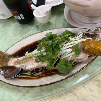 Saigon Seafood Harbor Restaurant - Dim Sum Near Me - Sunnyvale, California Saigon Seafood Harbor Restaurant - Dim Sum Near Me - Sunnyvale, California