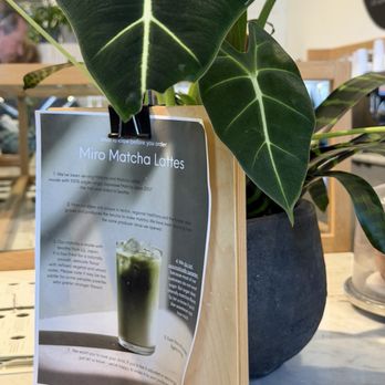 Miro Tea - Tea Rooms Near Me - Seattle, Washington