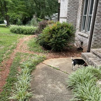 Grand Design - Front downspout drainage - Landscaping Near Me - Raleigh, North Carolina