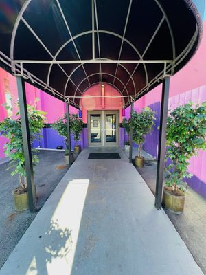 DIAMONDS & LACE - CHATTANOOGA - Updated January 2026 - 10 Photos - 115