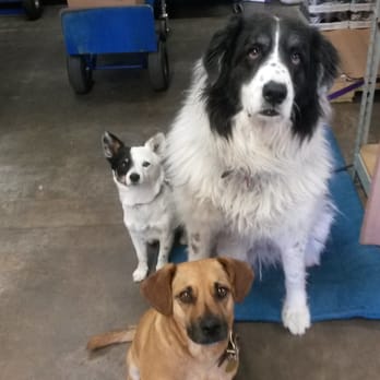 The Critters & Me - Critter and Me mascots. - Pet Stores Near Me - Santa Fe, New Mexico